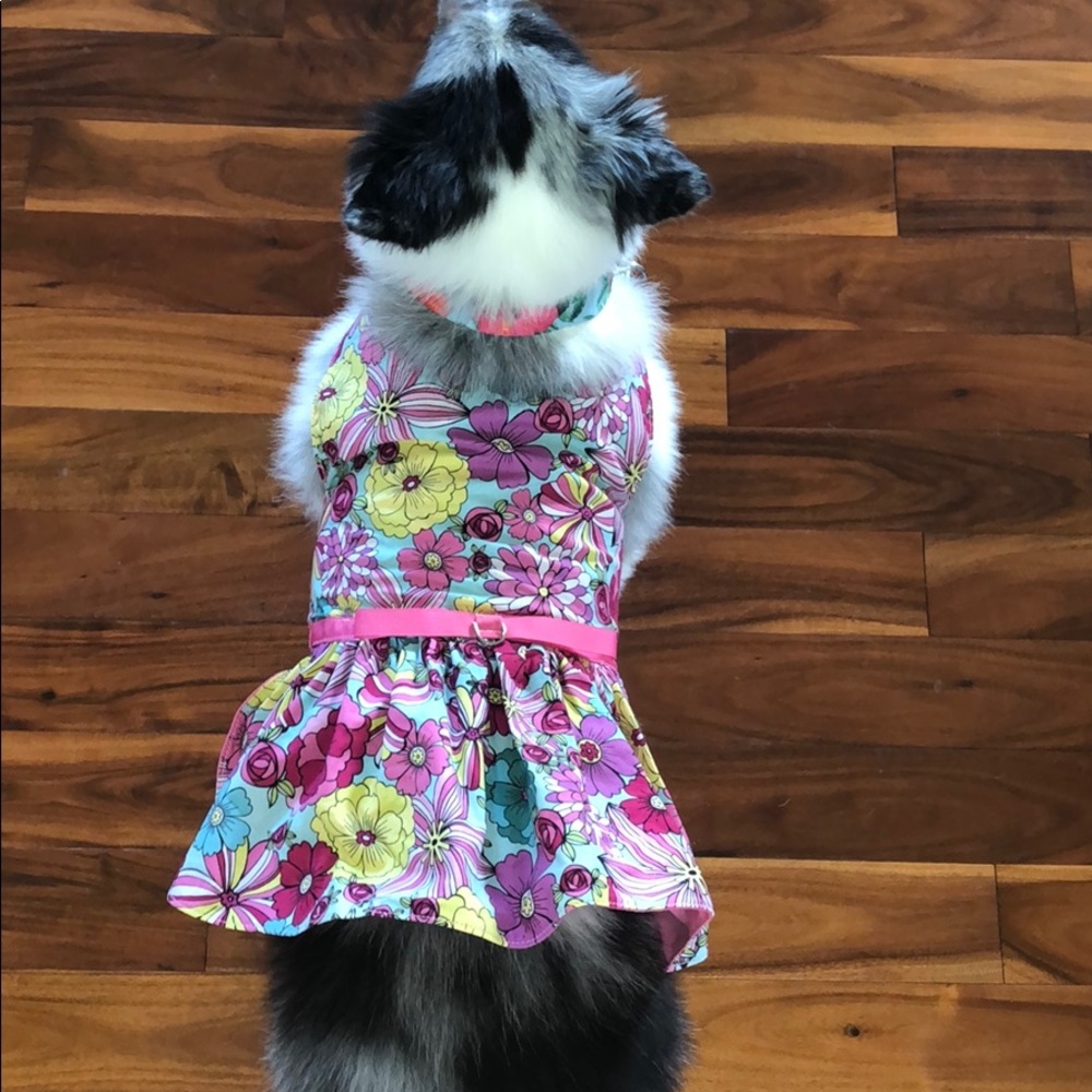 dog harness dress